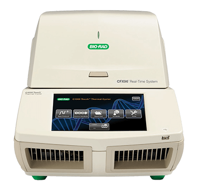 荧光定量PCR仪（Bio-rad）
